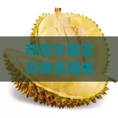 燕窝与榴莲同食真相揭秘：探讨搭配食用安全性及潜在影响