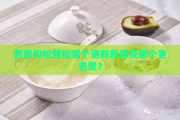 燕窝和松茸松哪个更有营养及哪个更名贵？