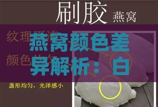 燕窝颜色差异解析：白的、黑的燕窝哪个更好，以及如何挑选优质燕窝