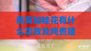 燕窝加桂花有什么功效及炖煮建议