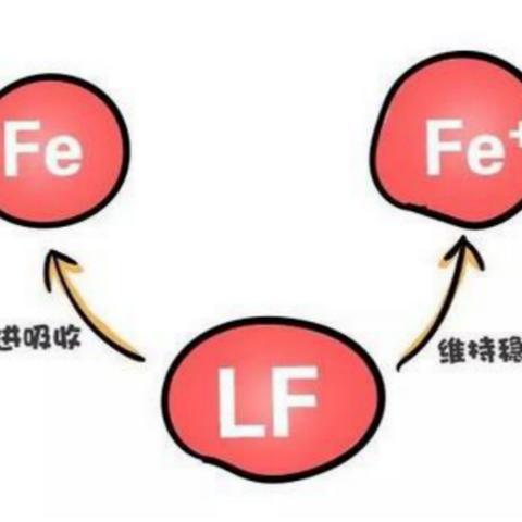 关系及含量影响探究——燕窝酸和燕窝有什么关系，大小对燕窝酸含量有何影响