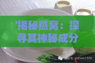 '揭秘燕窝：探寻其神秘成分与营养价值'