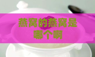 燕窝的燕窝是哪个啊