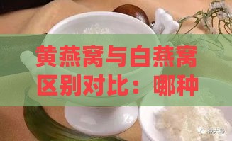 黄燕窝与白燕窝区别对比：哪种营养价值更高，如何选择与食用