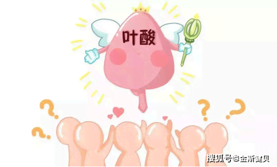 全面解析：叶酸与燕窝酸的差异及对孕妇和婴幼儿健康的各自作用