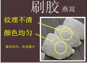 干燕窝与湿燕窝重量差异解析：揭秘燕窝挑毛工艺对重量影响及选购要点