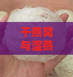 干燕窝与湿燕窝重量差异解析：揭秘燕窝挑毛工艺对重量影响及选购要点