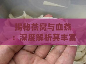 揭秘燕窝与血燕：深度解析其丰富营养与价值差异