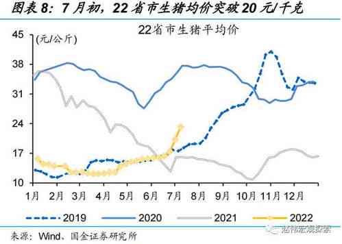 血燕窝价格解析：市场行情、影响因素及购买指南