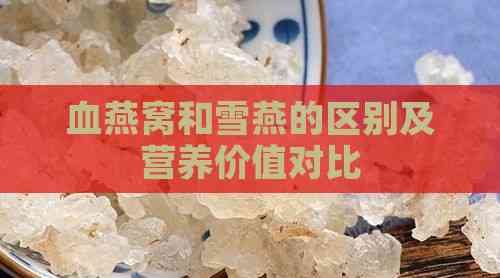 血燕窝和雪燕的区别及营养价值对比