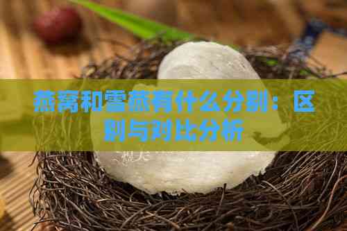 燕窝和雪燕有什么分别：区别与对比分析