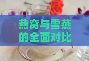 燕窝与雪燕的全面对比：成分、功效、食用方法及选购指南