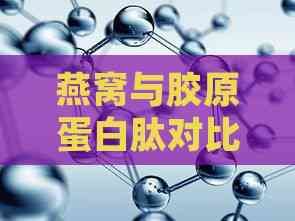 燕窝与胶原蛋白肽对比：深入解析功效、吸收与适用人群差异