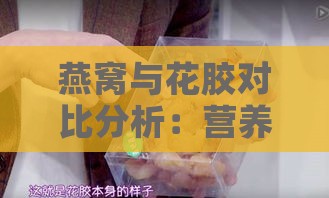 燕窝与花胶对比分析：营养、功效与适用人群全面解析