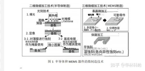 即食燕窝工艺流程：全自动化加工技术与品质把控要点解析