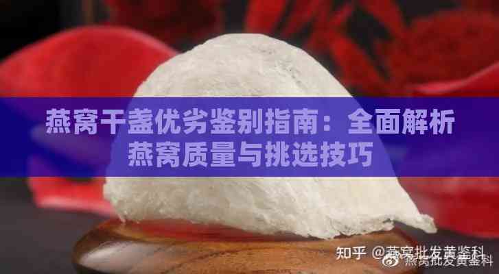 燕窝干盏优劣鉴别指南：全面解析燕窝质量与挑选技巧