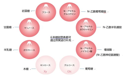 燕窝搭配抗糖产品：同服效果与建议分析