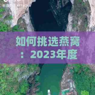 如何挑选燕窝：2023年度燕窝店综合评测与推荐指南