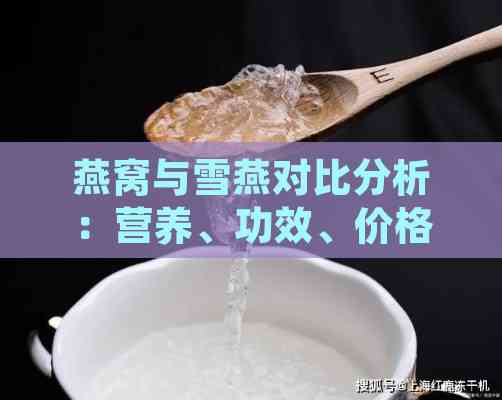 燕窝与雪燕对比分析：营养、功效、价格及适用人群全方位解析