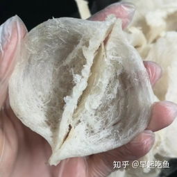 毛燕窝和燕条哪个好