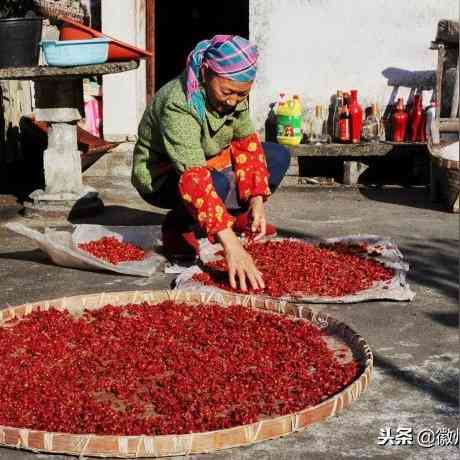 探寻知名：正宗燕窝精选推荐与比较