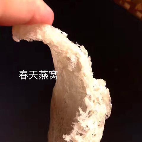 真正燕窝有哪些