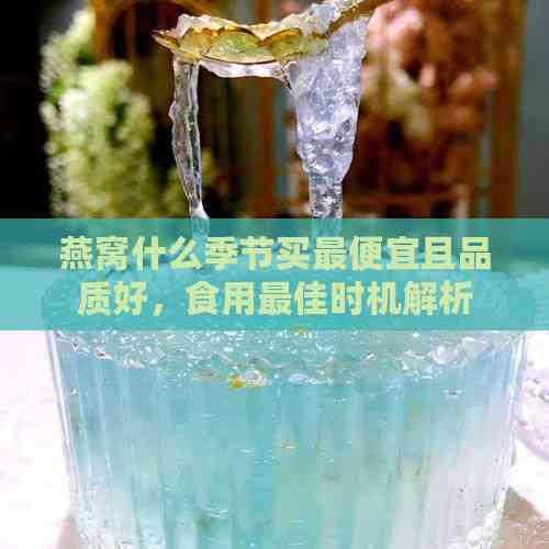 燕窝什么季节买更便宜且品质好，食用更佳时机解析