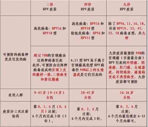 全面对比分析：燕窝与南御品燕窝的营养价值、差异及消费者评价