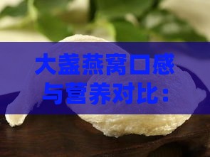 大盏燕窝口感与营养对比：挑选最适合您的燕窝美食体验