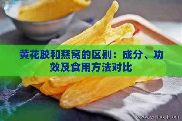 黄花胶和燕窝的区别：成分、功效及食用方法对比