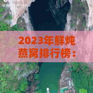 2023年鲜炖燕窝排行榜：权威推荐与选购指南