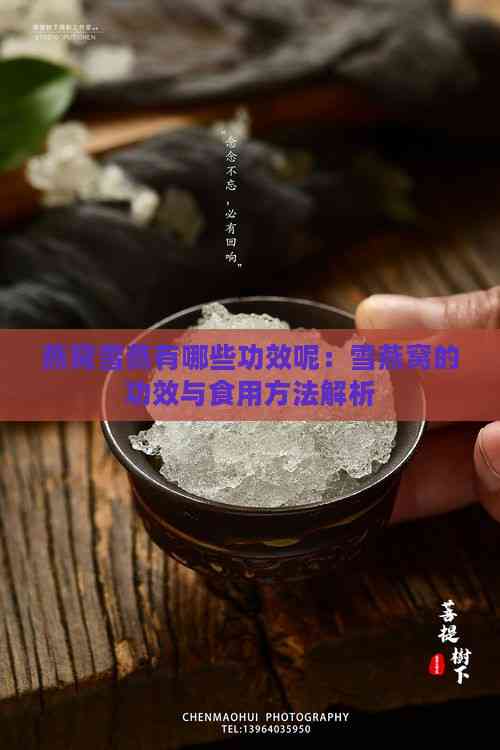 燕窝雪燕有哪些功效呢：雪燕窝的功效与食用方法解析