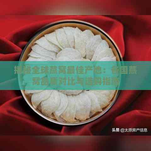 揭秘全球燕窝更佳产地：各国燕窝品质对比与选购指南