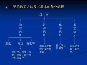 燕窝的基础知识：全面详解与专业知识大全