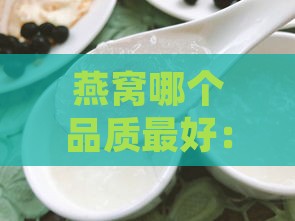 燕窝哪个品质更好：涵盖进口、泰国、孕妇专用及鲜炖推荐