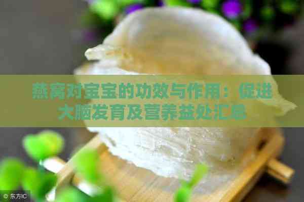 燕窝对宝宝的功效与作用：促进大脑发育及营养益处汇总