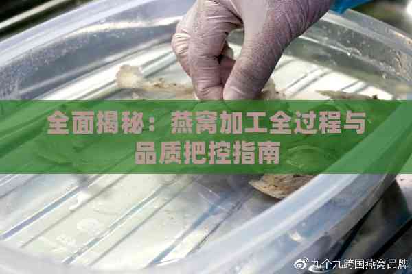 全面揭秘：燕窝加工全过程与品质把控指南