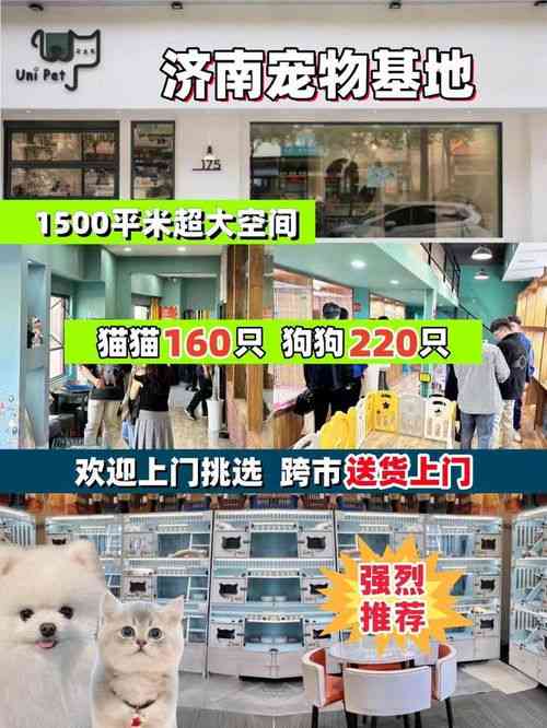 济南哪里有卖燕窝：实体店推荐与购买攻略