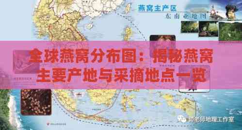 全球燕窝分布图：揭秘燕窝主要产地与采摘地点一览