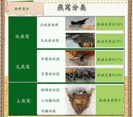 全面解析：燕窝品种分类、特点与养殖指南