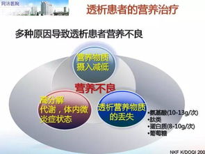 深度解析：金丝燕窝的营养成分、功效与实际价值评估