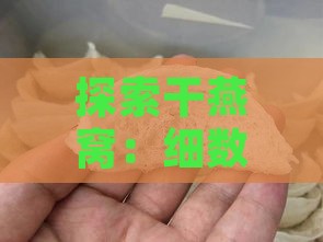 探索干燕窝：细数各类高端燕窝品类的特点与区别