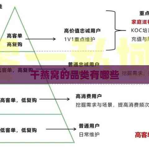 干燕窝的品类有哪些