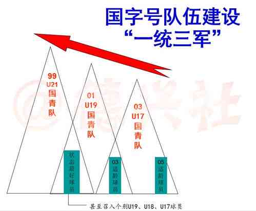 揭秘燕窝遗传基因：全面解析其DNA特征与营养价值