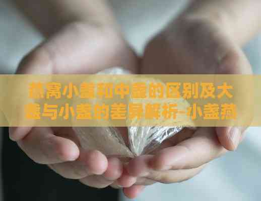 燕窝小盏和中盏的区别及大盏与小盏的差异解析-小盏燕窝和大盏燕窝的区别