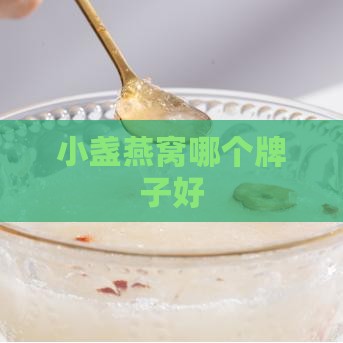 小盏燕窝哪个牌子好