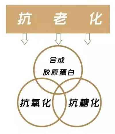 抗糖丸与燕窝饮品对比：谁更胜一筹，全面解析抗糖效果与肌肤保养优势