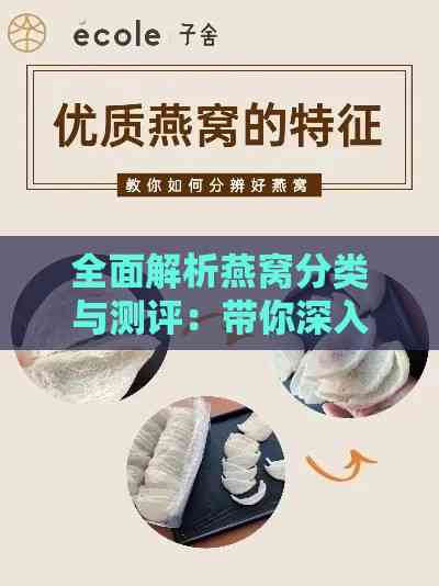 全面解析燕窝分类与测评：带你深入了解各种燕窝类型及选购指南