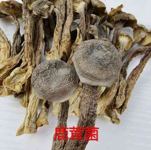 鹿茸与燕窝价格及口感对比：哪个更昂贵，哪个味道更胜一筹？