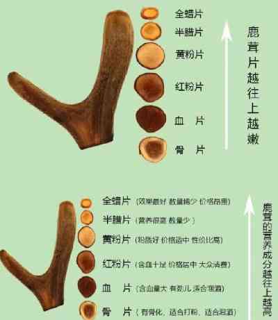 鹿茸跟燕窝哪个贵呢，药用价值和口感哪个更胜一筹？